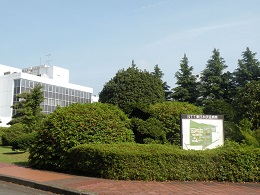 NTT東日本伊豆病院
