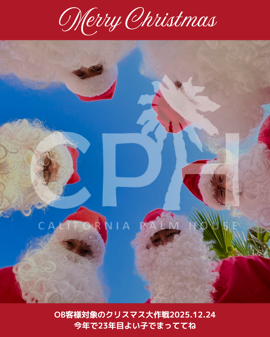 今年もやります🎅クリスマス大作戦