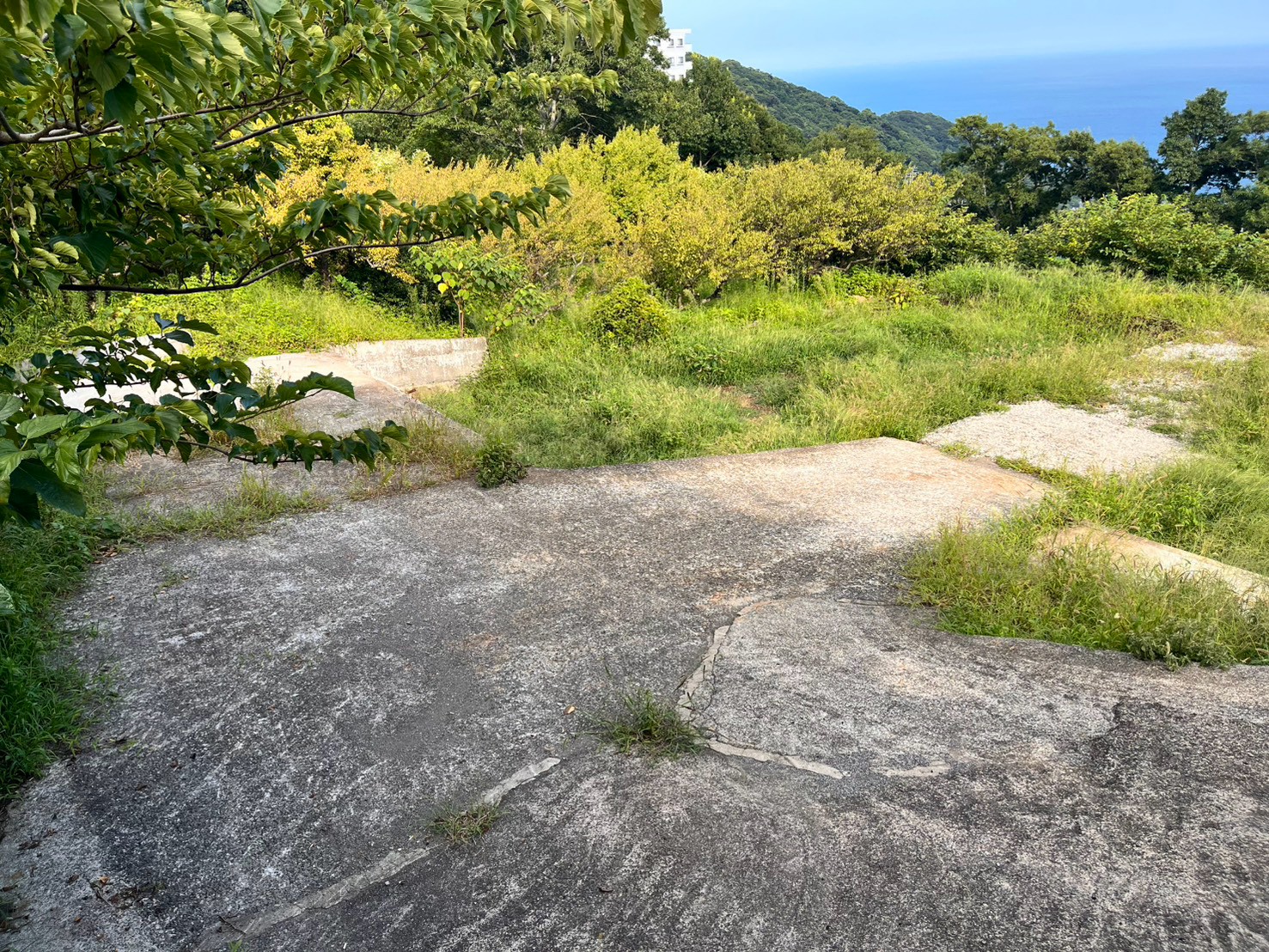 道路からのアプローチ
