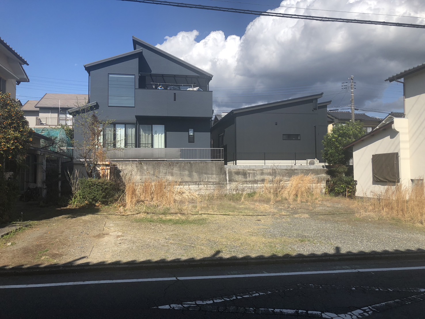土地の様子